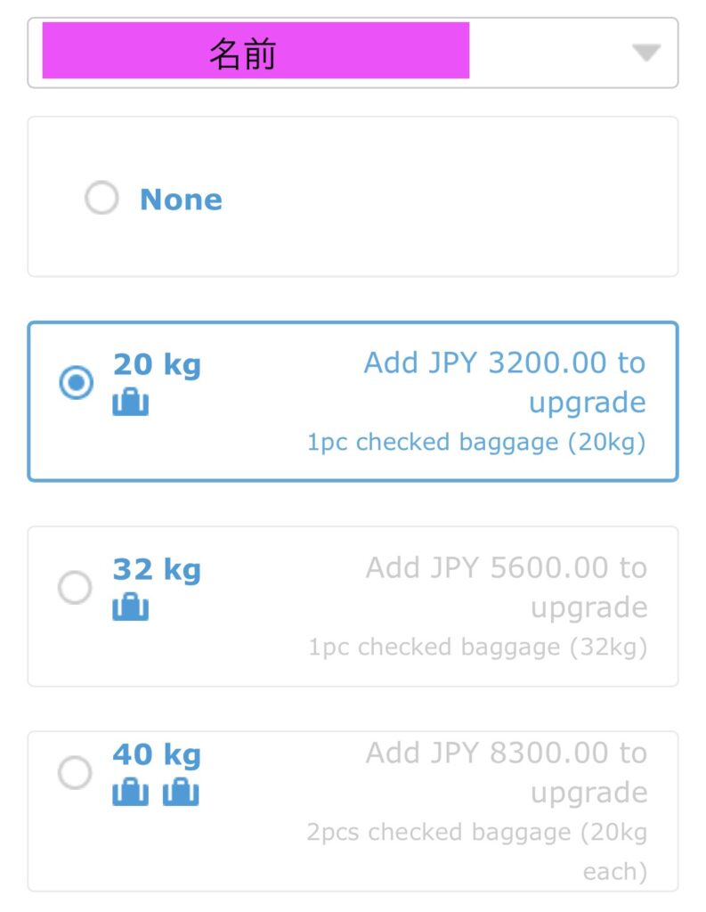 セブパシフィック予約9