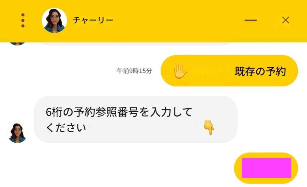 セブパシフィック予約20