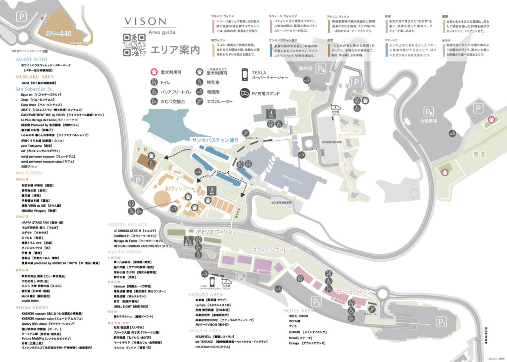 vison map